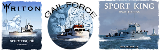 Gail Force, Triton, and Sport King Sportfishing